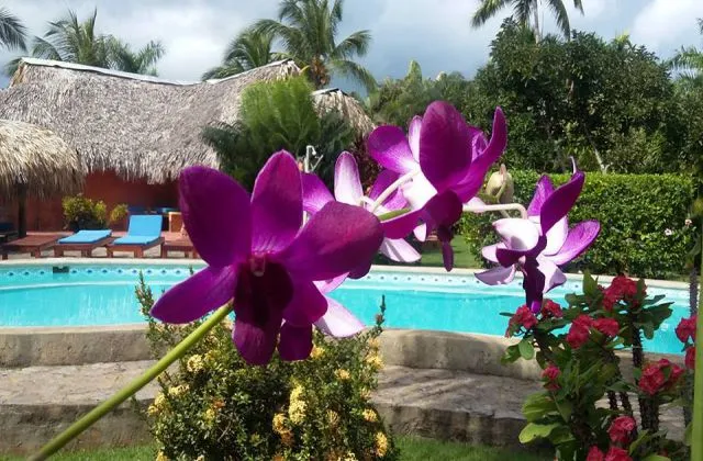 Hotel Sol Azul piscine 2